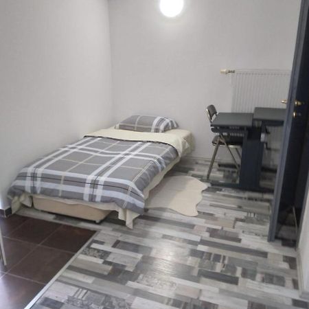 Apartmán Studio Unique Temešvár Exteriér fotografie