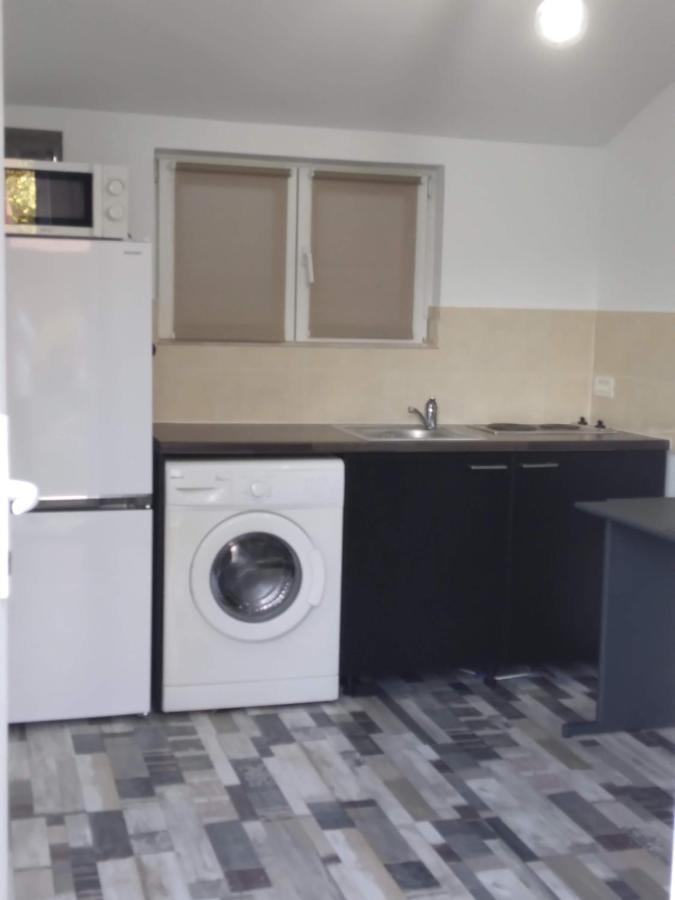 Apartmán Studio Unique Temešvár Exteriér fotografie