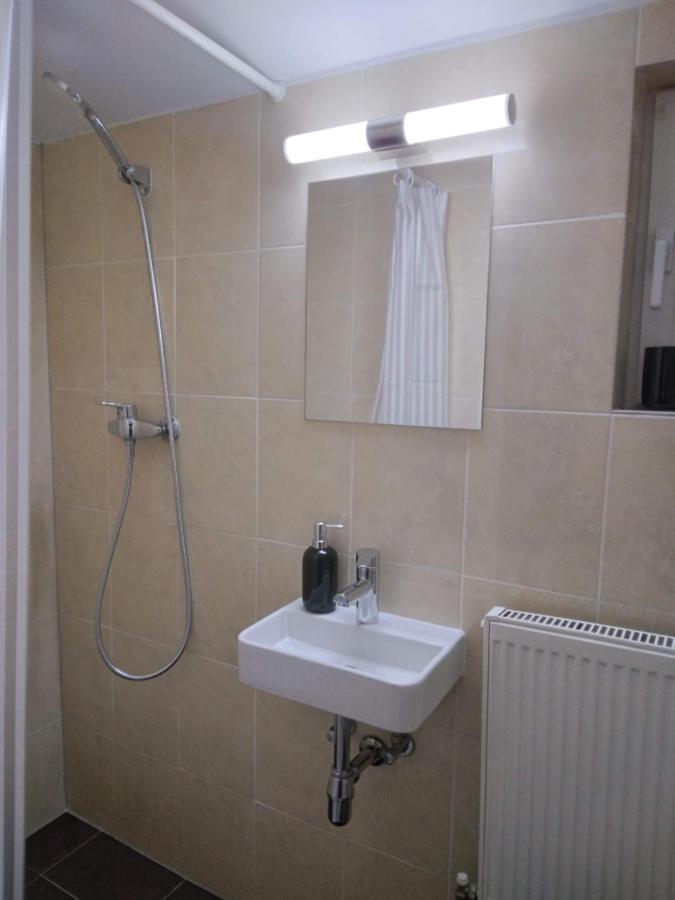 Apartmán Studio Unique Temešvár Exteriér fotografie