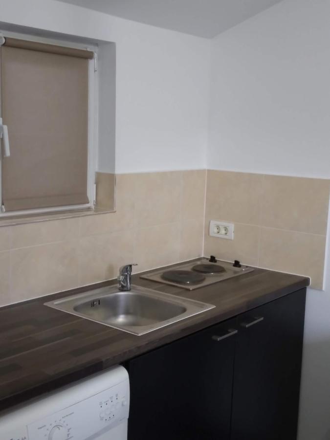 Apartmán Studio Unique Temešvár Exteriér fotografie